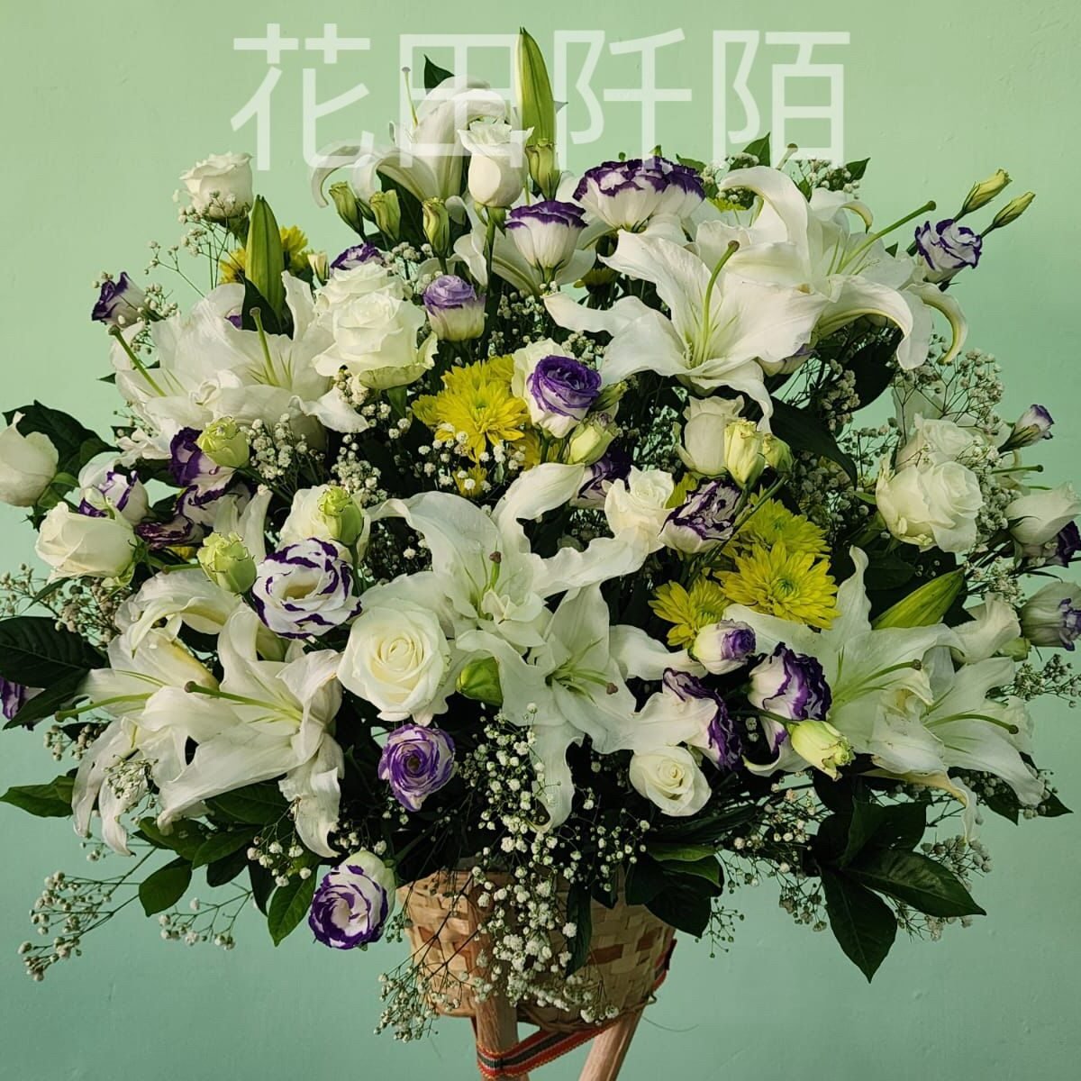 WhatsApp 圖片2025 07 1617.17.04 7be3080e