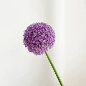 葱花