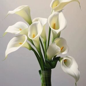 馬蹄蘭