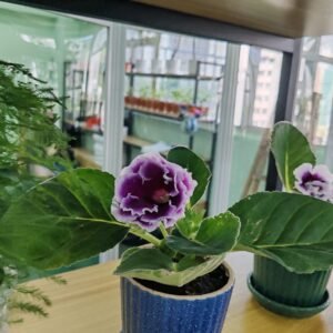 大岩洞