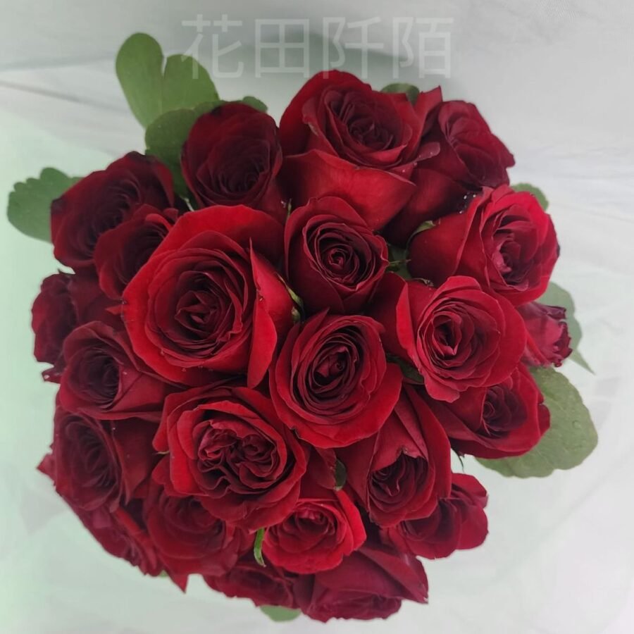 WhatsApp 圖片2025 07 2309.20.06 8844f1a2