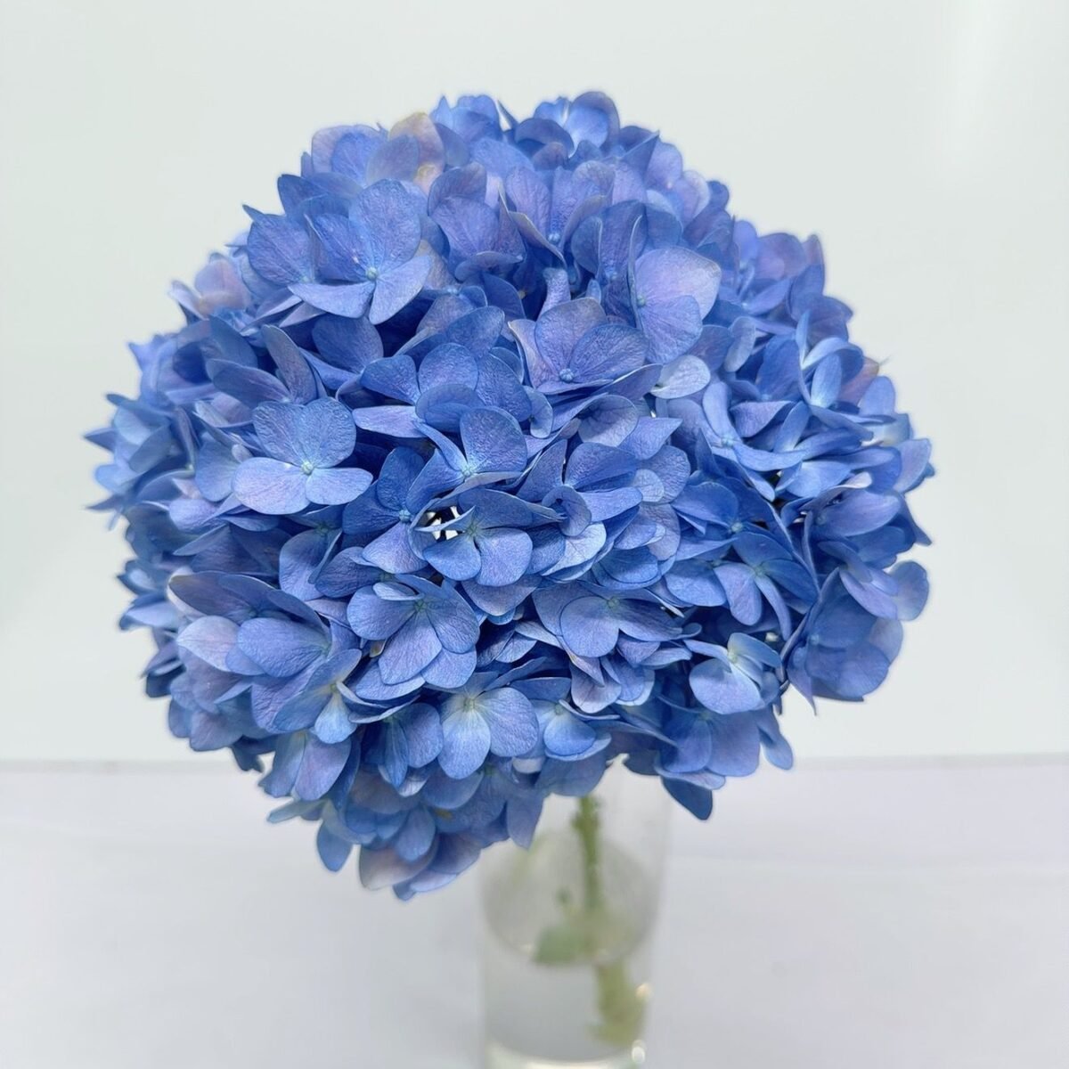 IMG 20250929 WA0077