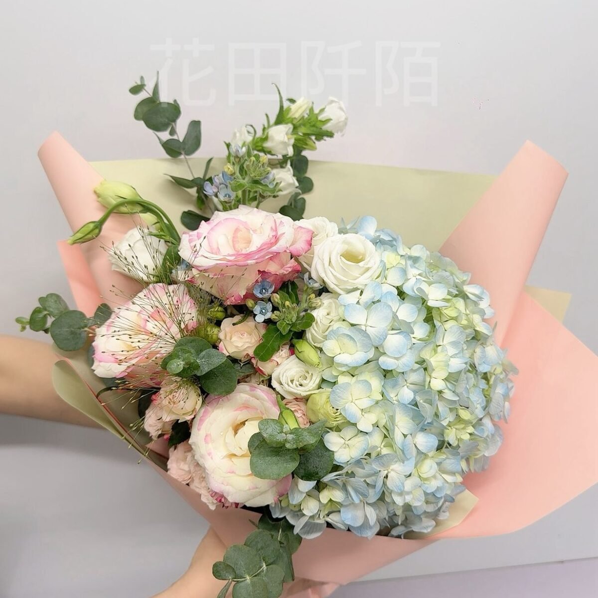 WhatsApp 圖片2025 09 2516.54.28 e5172c91
