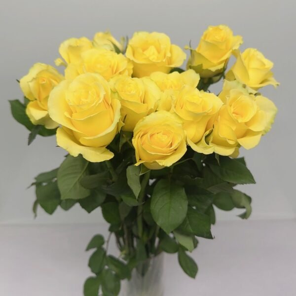 黃玫瑰-浪漫沙灘