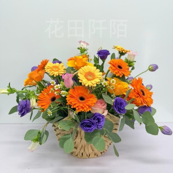 玫瑰非洲菊籃花