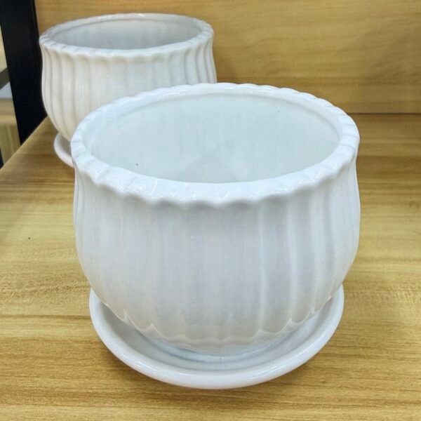 白色陶瓷花盆