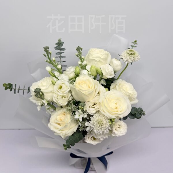 IMG 9241 副本