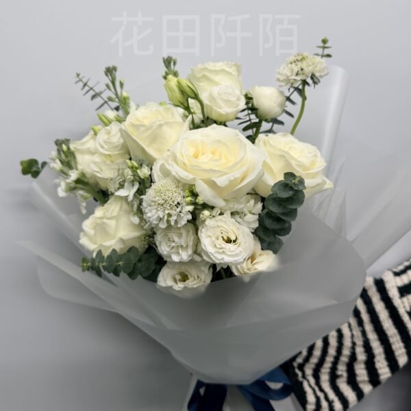 IMG 9249 副本