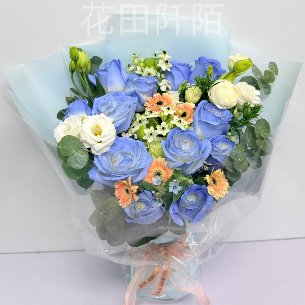 WhatsApp Image 2025 12 03 at 16.33.26 副本
