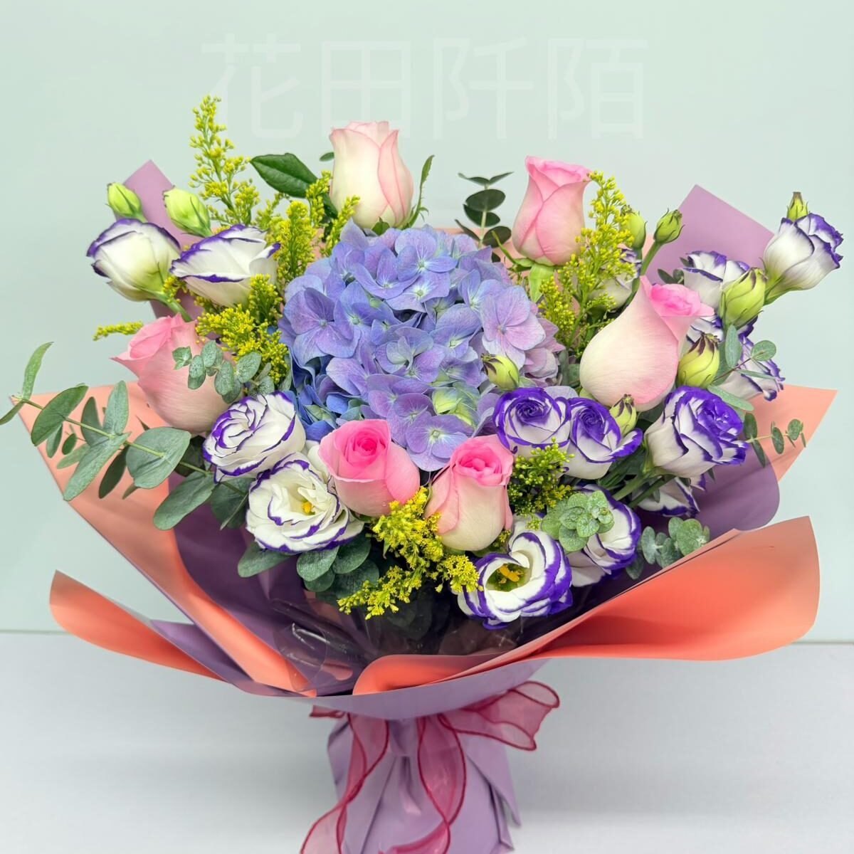 WhatsApp Image 2025 12 30 at 17.47.03 (1)