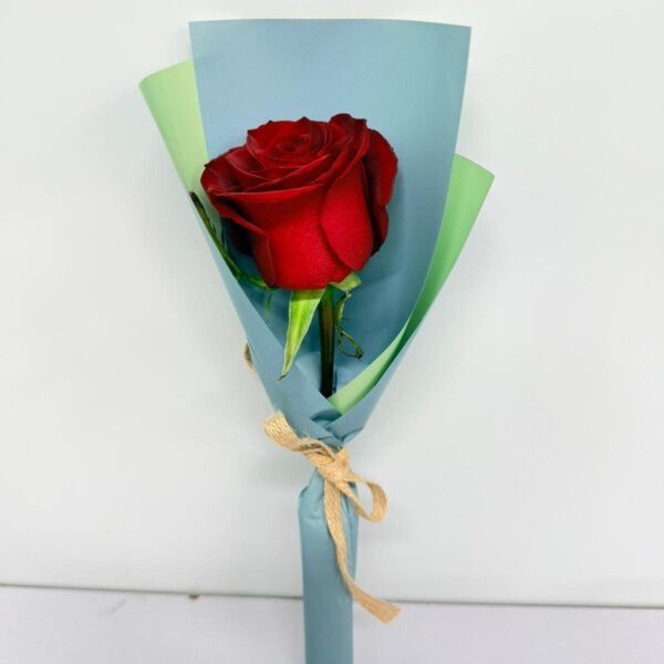 單支玫瑰E