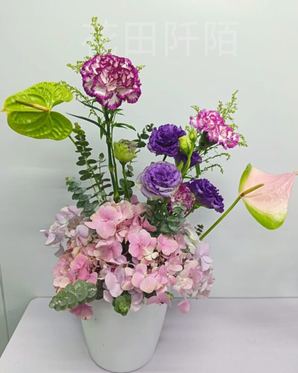 繡球枱花
