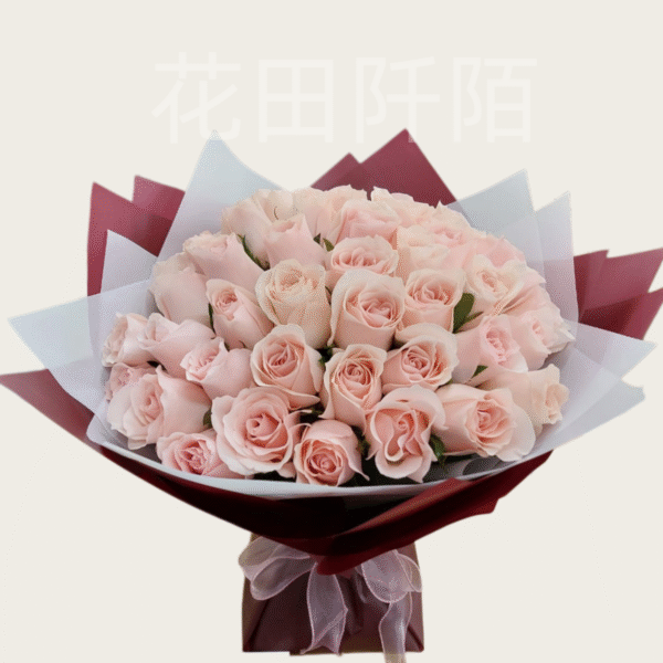52枝/99枝淺粉色玫瑰花束