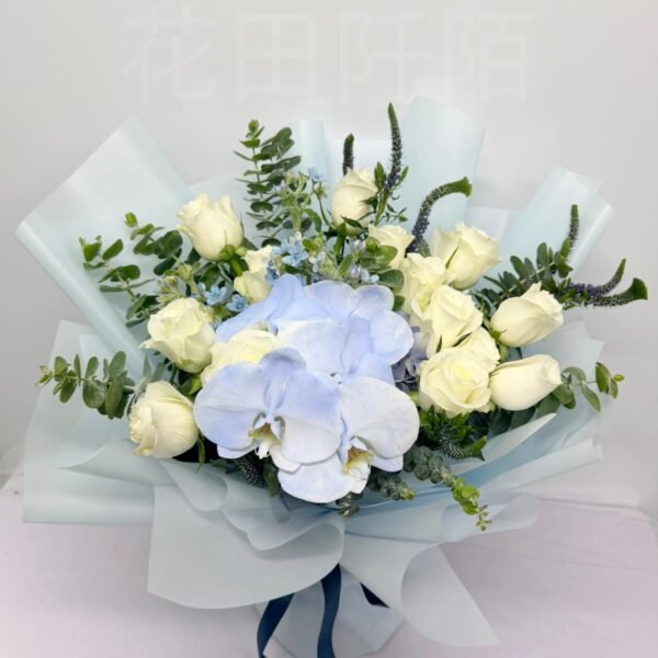 WhatsApp Image 2026 05 20 at 18.03.31 副本1