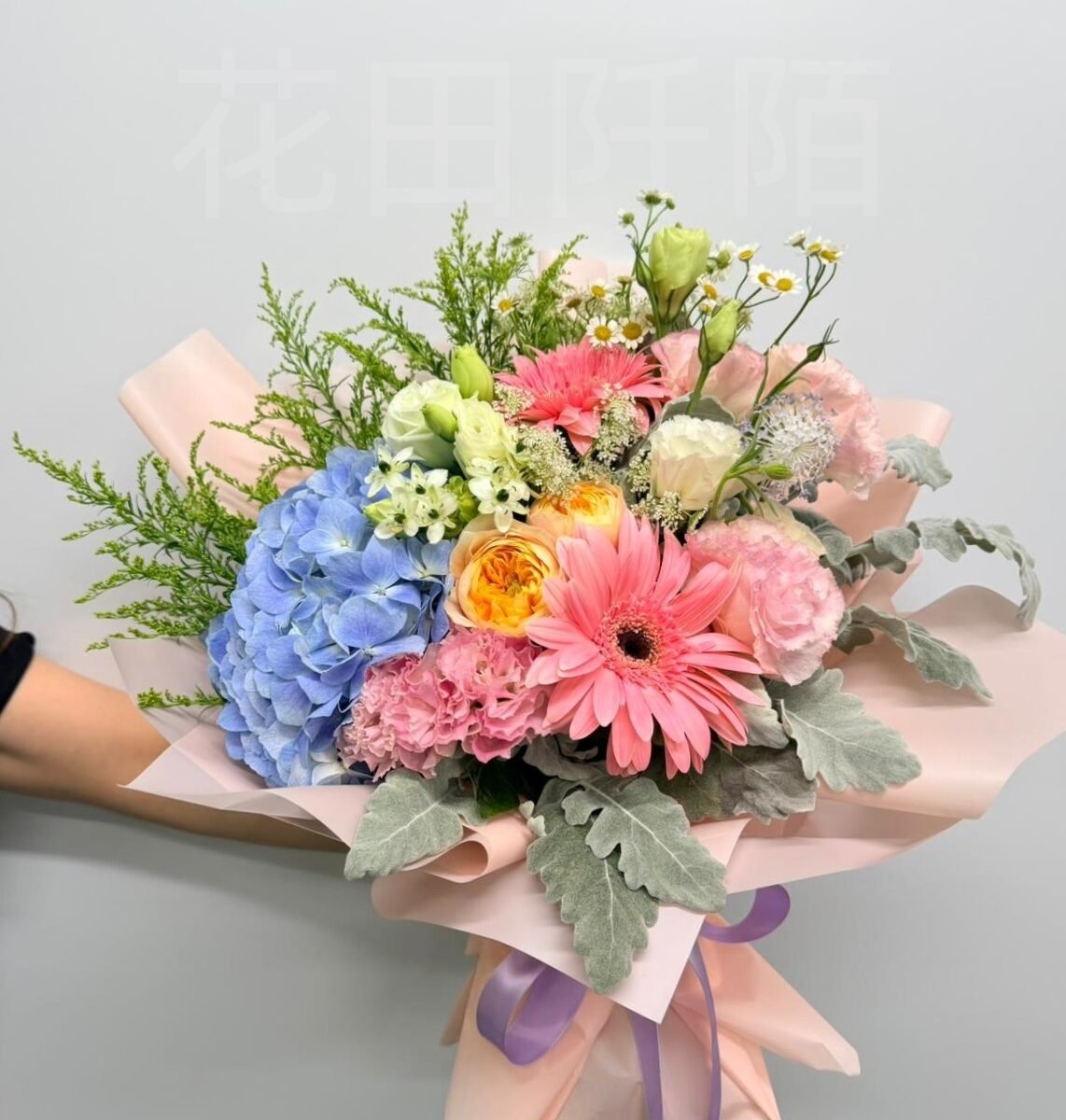 WhatsApp Image 2026 05 23 at 09.48.15 副本