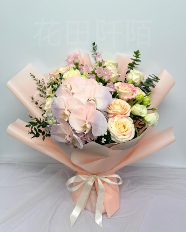 WhatsApp Image 2026 05 23 at 17.58.12 副本