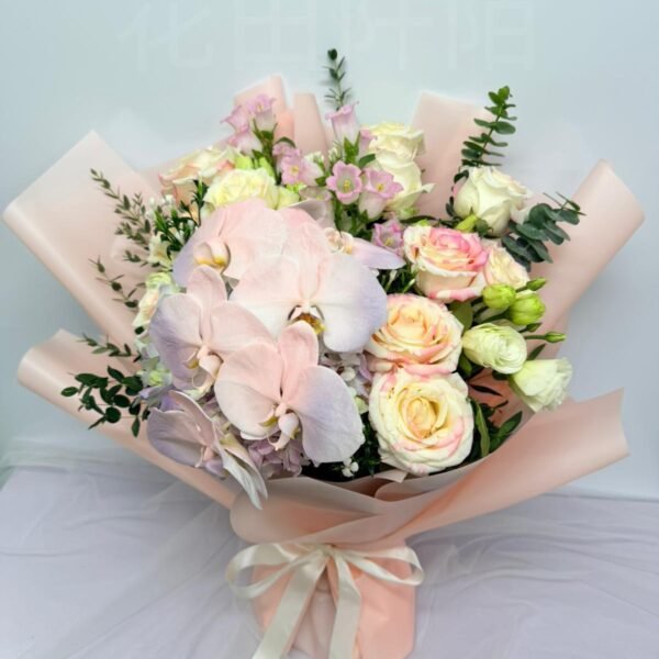 WhatsApp Image 2026 05 23 at 17.58.13 副本