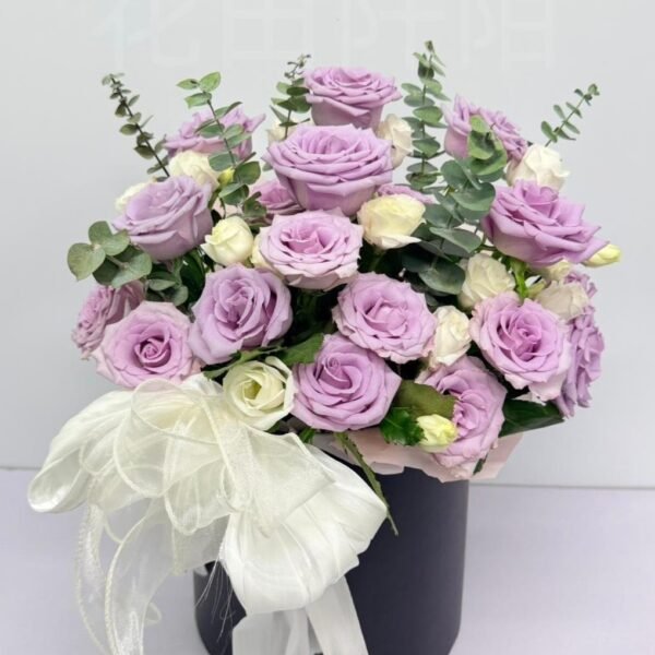 WhatsApp Image 2026 06 09 at 18.13.24 副本