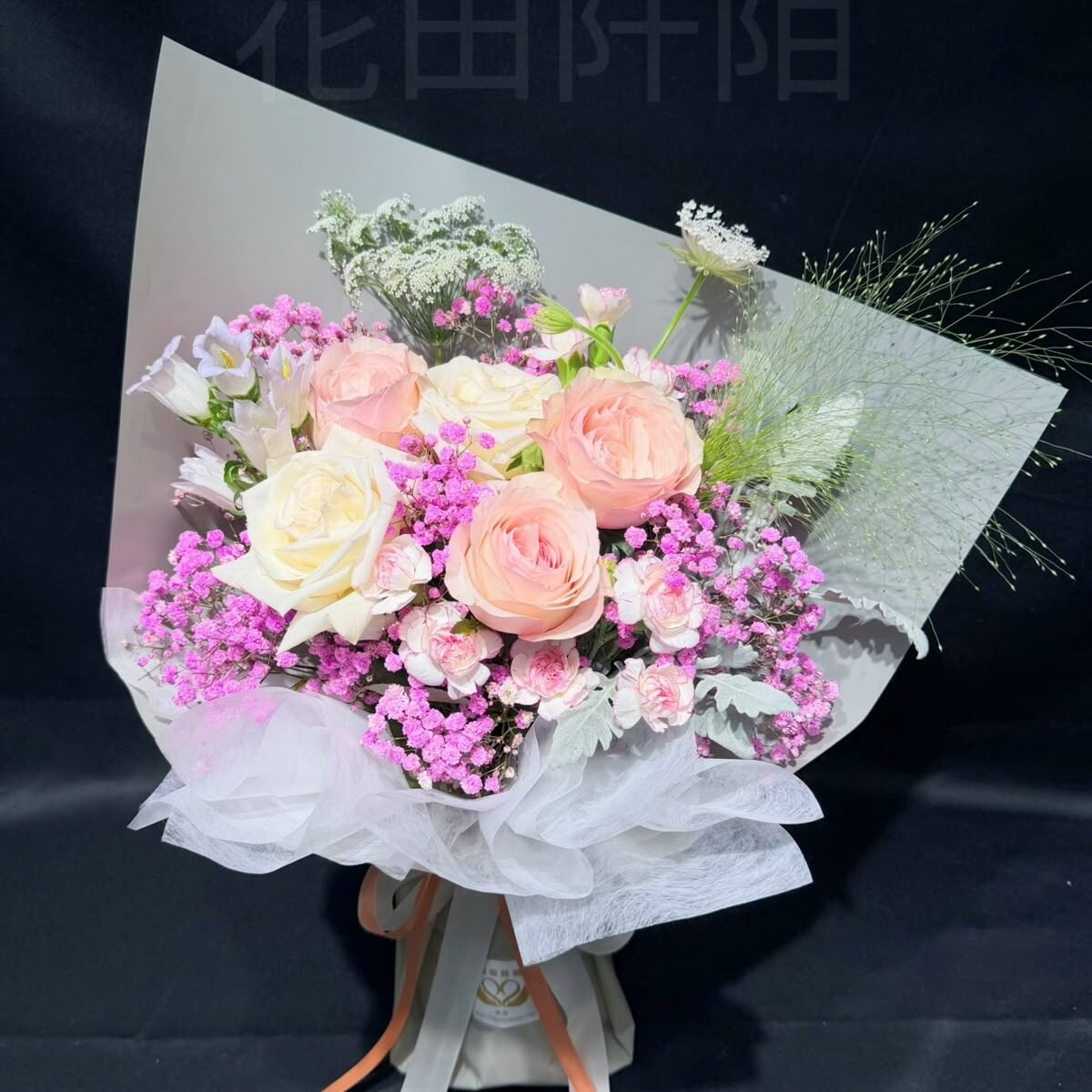 FBR99224 (2)